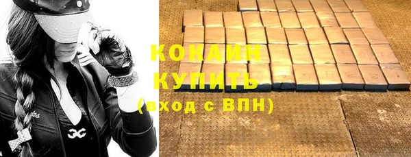 ешки Бородино